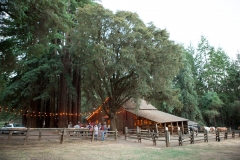 lenihan-barn-stomp-1080