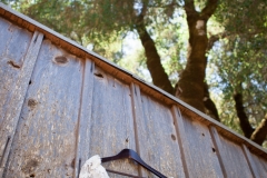 lenihan-wedding-1012