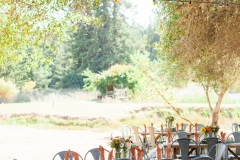 lenihan-wedding-1450