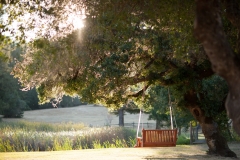 lenihan-wedding-1589