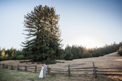 lenihan-wedding-1883